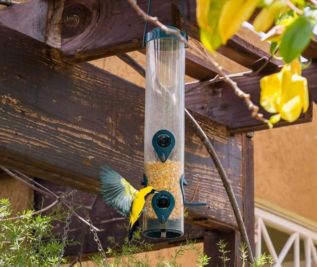 Aquahaven Retreat In Kingston Villa
